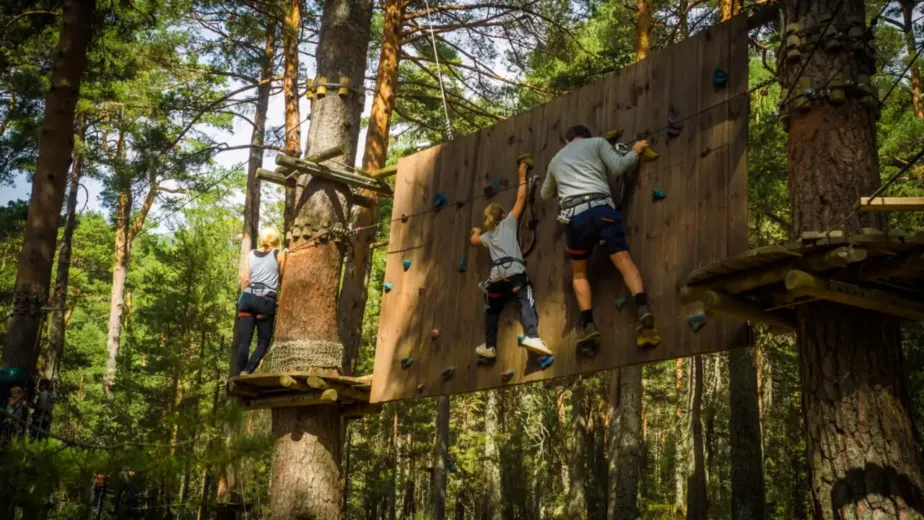 Enfants grimpant sur un mur d'escalade dans un parc accrobranche
