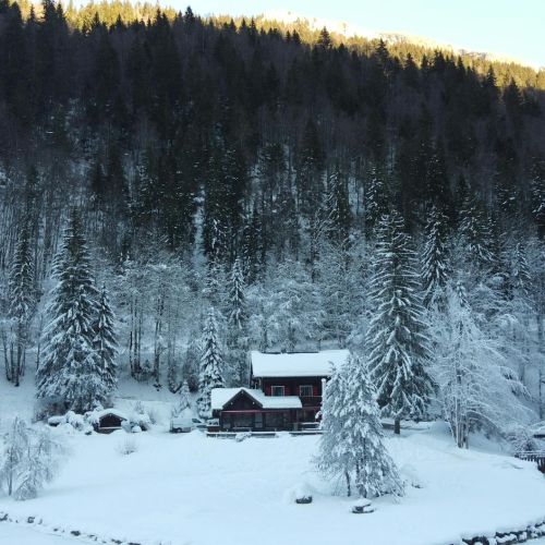 Meta Ads pour les parcs accrobranches : Les meilleures stratégies pour un ROI maximal