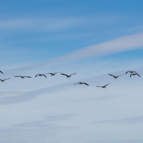 Budget formation AFDAS 2026 : comment connaître votre montant disponible et l’utiliser