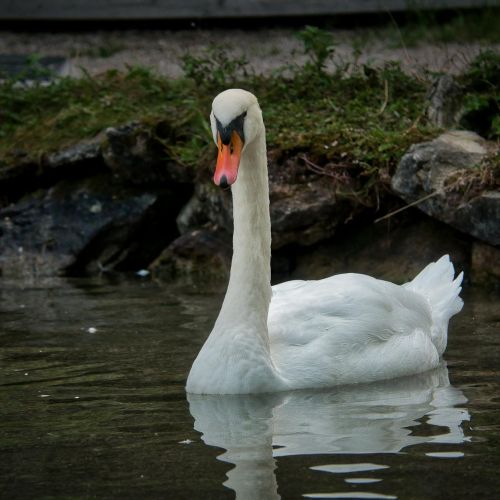 Augmentez vos réservations : Le guide ultime du marketing digital pour le secteur des loisirs